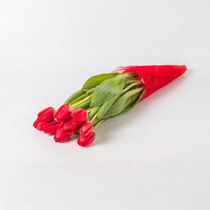 Μπουκέτο με 10 Κόκκινες Τουλίπες
