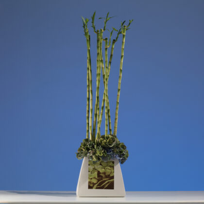 Σύνθεση με μπαμπού και ορτανσία σε βάζο