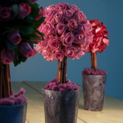 Δεντράκι με τριαντάφυλλο