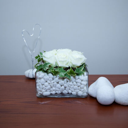 Τετράγωνο βάζο με λευκά τριαντάφυλλα και βότσαλα