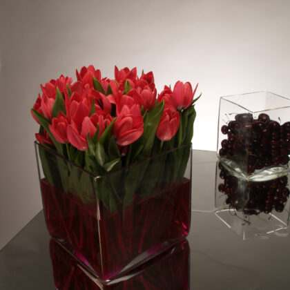 Τετράγωνο βάζο με 20 τουλίπες